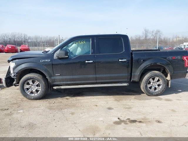 Ford F-150 Xlt 2016 1FTEW1EG6GKF51256 Image 15