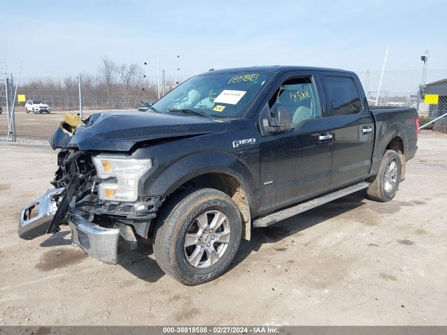 Ford F-150 Xlt 2016 1FTEW1EG6GKF51256 Image 2