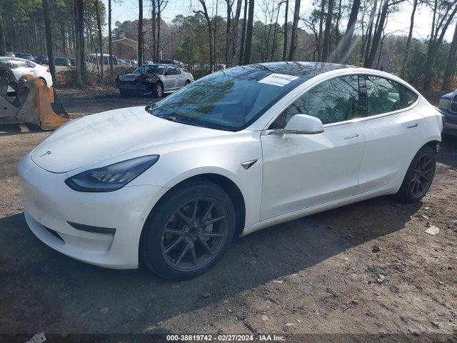 Tesla Model 3 Long Range/mid Range/standard Range/standard Range Plus 2019 5YJ3E1EA9KF509093 Image 2