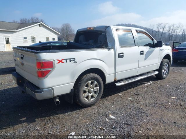 1FTFW1ET4EFA01934 Ford F-150 Xlt