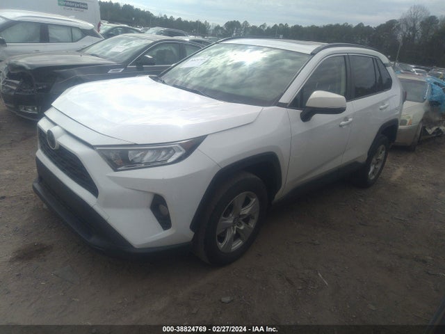 Toyota Rav4 Xle 2019 JTMP1RFV2KD503219 Image 2
