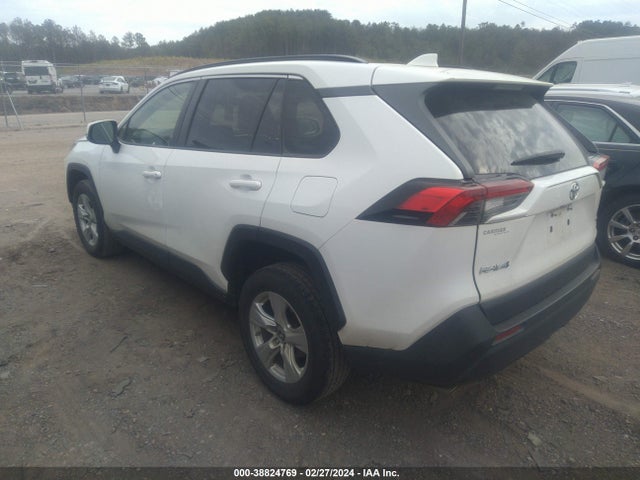 Toyota Rav4 Xle 2019 JTMP1RFV2KD503219 Image 3