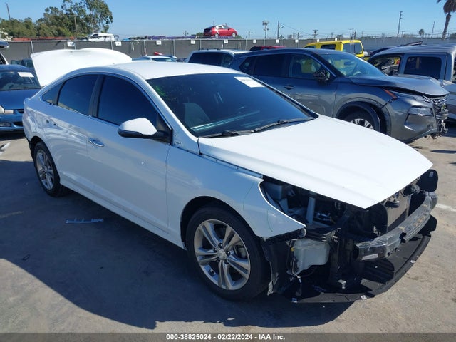 2019 5NPE34AFXKH766315 main image