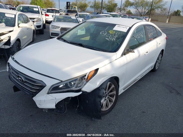 Hyundai Sonata Sport 2017 5NPE34AF9HH554207 Image 2