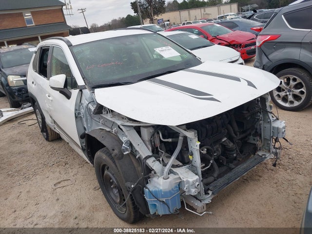 Toyota RAV4 LE 2019 JTMG1RFV0KD046524 zdjęcie główne