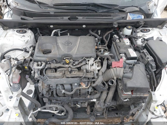 Toyota RAV4 LE 2019 JTMG1RFV0KD046524 Image 10