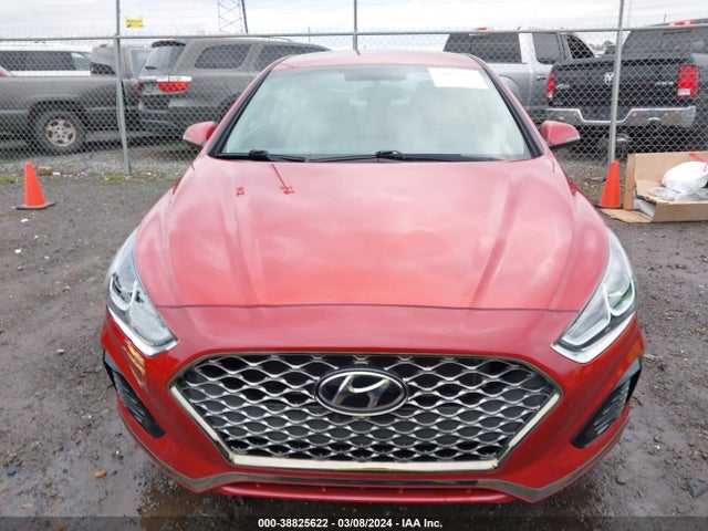 Hyundai SONATA SEL 2019 5NPE34AF3KH770724 Image 12