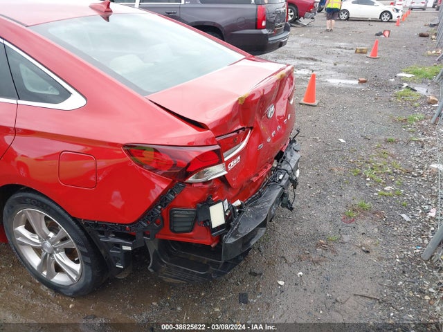 Hyundai SONATA SEL 2019 5NPE34AF3KH770724 Image 6