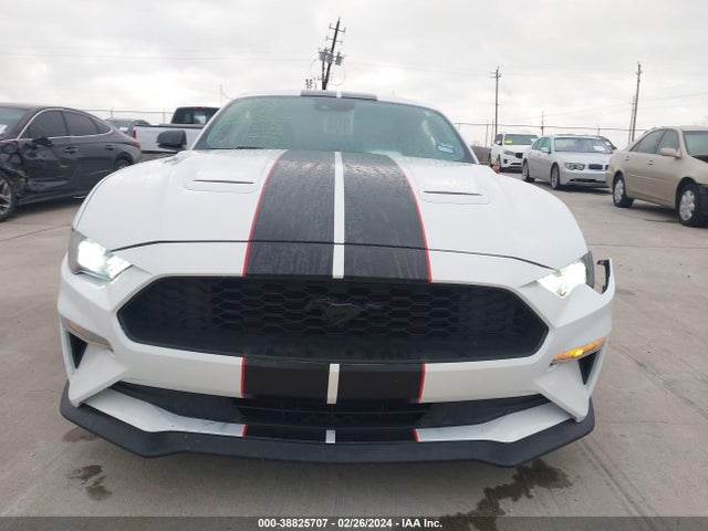 Ford Mustang Ecoboost Fastback 2020 1FA6P8TH3L5169853 Image 12