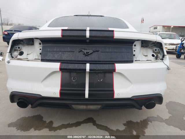 Ford Mustang Ecoboost Fastback 2020 1FA6P8TH3L5169853 Image 16