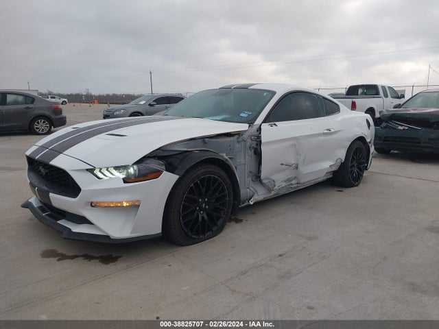Ford Mustang Ecoboost Fastback 2020 1FA6P8TH3L5169853 Image 2