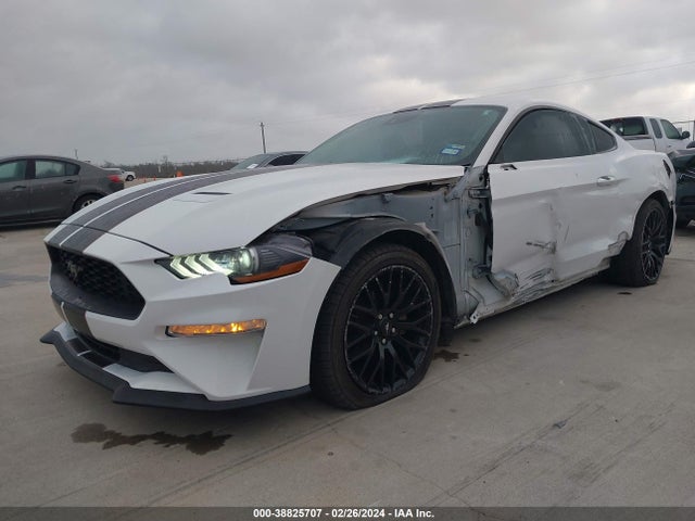 Ford Mustang Ecoboost Fastback 2020 1FA6P8TH3L5169853 Image 6