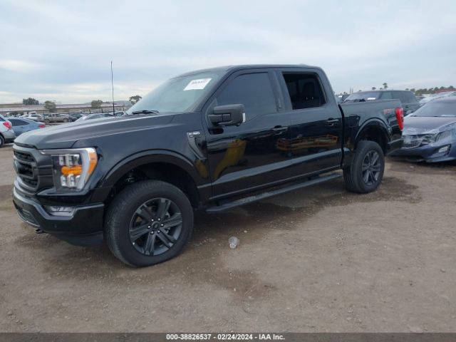 2023 FORD F-150 1FTFW1E83PKE67828 Photo 1
