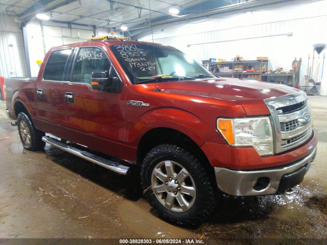 Ford F-150 Xlt 2014 1FTFW1EF6EKD91422 Image 1