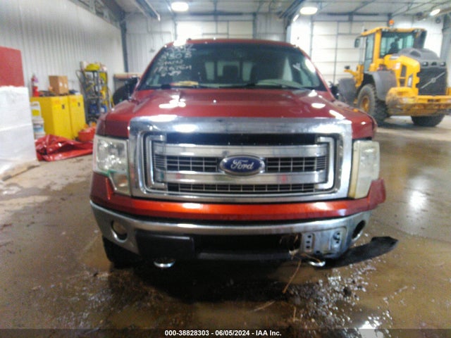 Ford F-150 Xlt 2014 1FTFW1EF6EKD91422 Image 12
