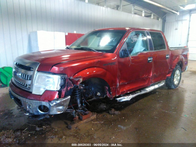 Ford F-150 Xlt 2014 1FTFW1EF6EKD91422 Image 2