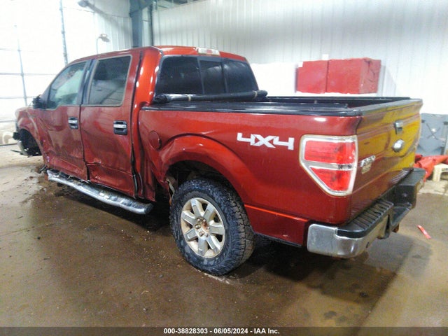 Ford F-150 Xlt 2014 1FTFW1EF6EKD91422 Image 3