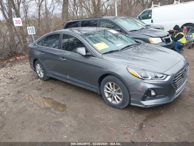 2019 5NPE24AF5KH797636 main image