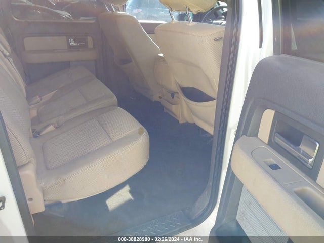 Ford F-150 Xlt 2014 1FTFW1CF8EKD51474 Image 8