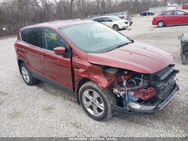 Ford ESCAPE SE 2014 1FMCU0GX1EUA20984 Image 1