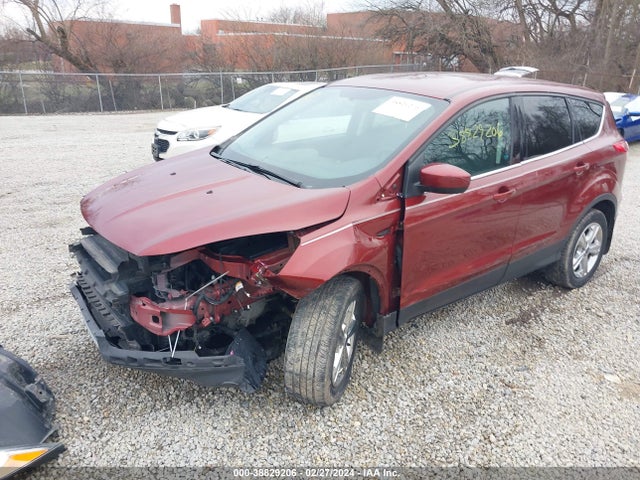 Ford ESCAPE SE 2014 1FMCU0GX1EUA20984 Image 2