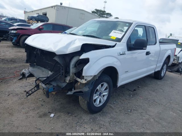 1FTEX1CG6FKE06460 Ford F-150 Xlt