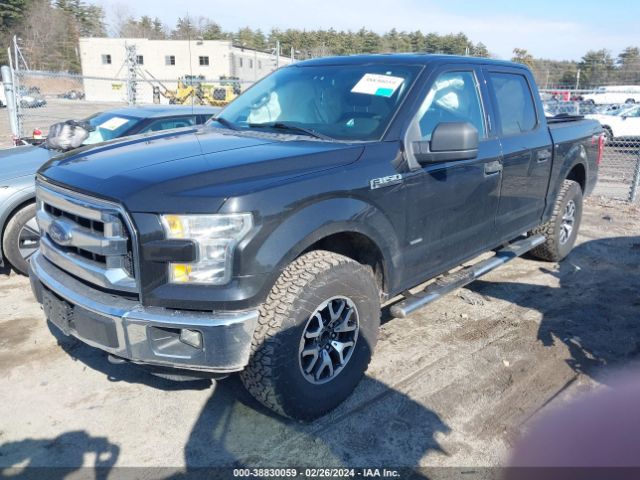 1FTEW1EG9FFB24760 Ford F-150 Xlt
