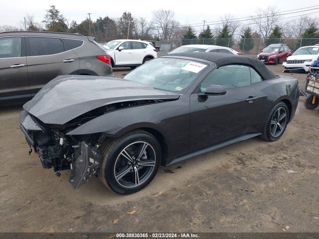 Ford Mustang Ecoboost 2024 1FAGP8UH4R5101024 Image 2