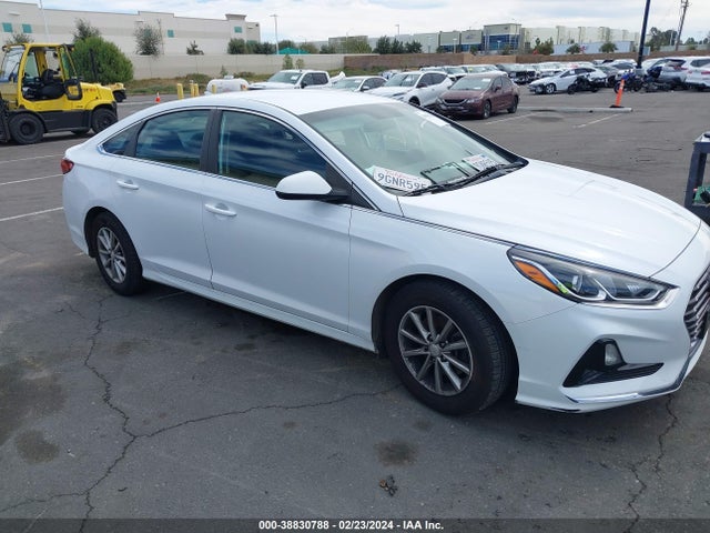 Hyundai SONATA SE 2019 5NPE24AF4KH776079 Image 12