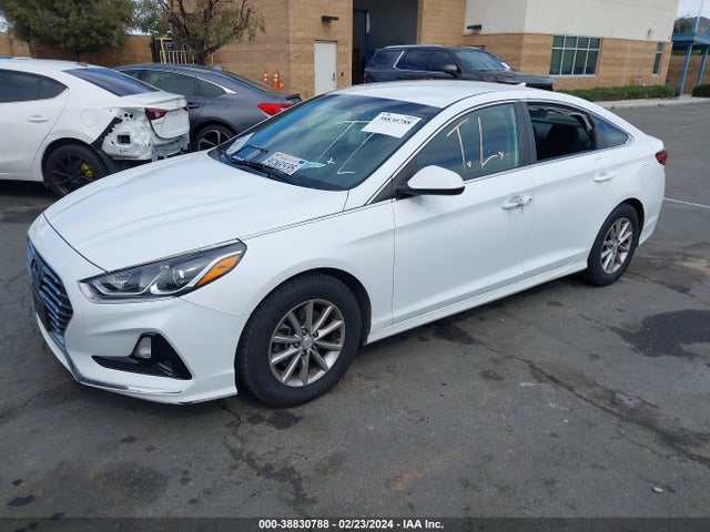 Hyundai SONATA SE 2019 5NPE24AF4KH776079 Image 2