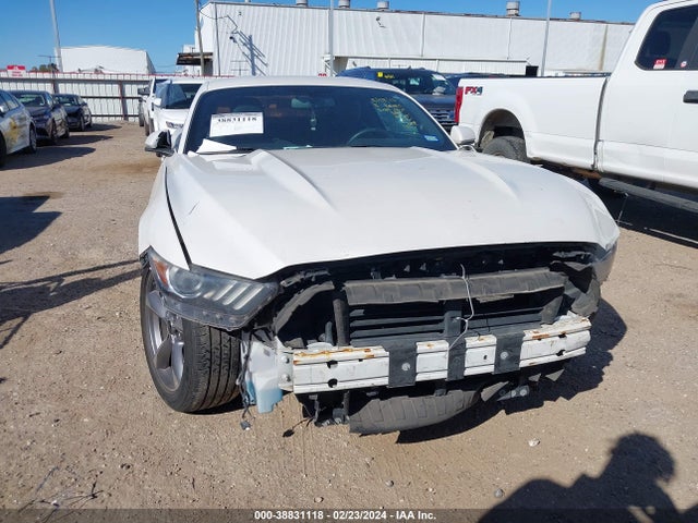 Ford Mustang Ecoboost 2017 1FA6P8TH9H5305071 Image 13