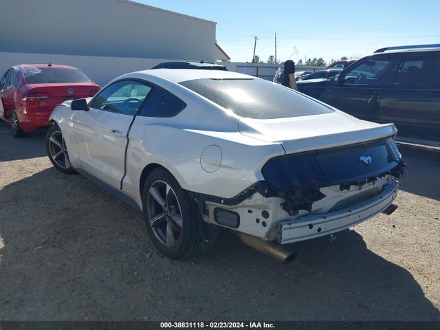 Ford Mustang Ecoboost 2017 1FA6P8TH9H5305071 Image 3