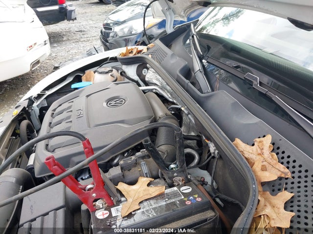 3VWJD7AT7KM719804 Volkswagen Beetle 2.0t Se
