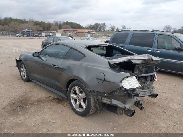 Ford Mustang 2015 1FA6P8TH5F5365698 Image 3