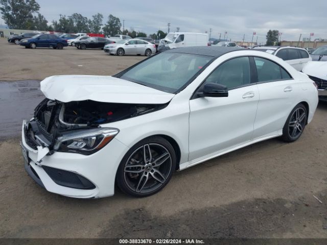 2019 MERCEDES-BENZ CLA WDDSJ4EBXKN722384 Photo 1