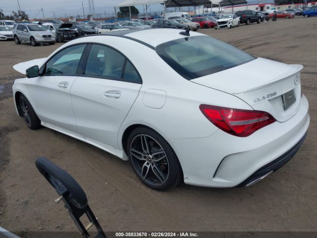 2019 MERCEDES-BENZ CLA WDDSJ4EBXKN722384 Photo 2