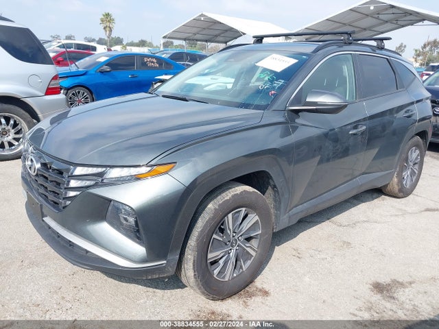 KM8JBCA12PU086109 Hyundai Tucson Hybrid Blue