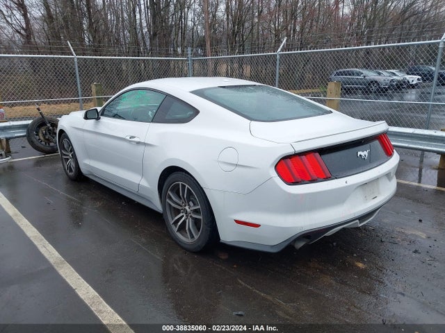 Ford Mustang Ecoboost 2015 1FA6P8TH9F5335104 Image 3