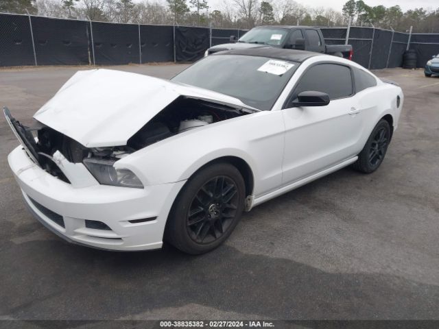 2014 FORD MUSTANG 1ZVBP8AM1E5273606 Photo 1