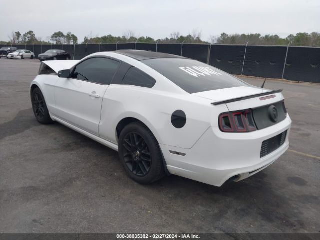 2014 FORD MUSTANG 1ZVBP8AM1E5273606 Photo 2