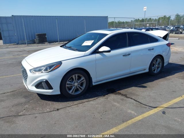 5NPE34AF6JH700035 Hyundai Sonata Sport+
