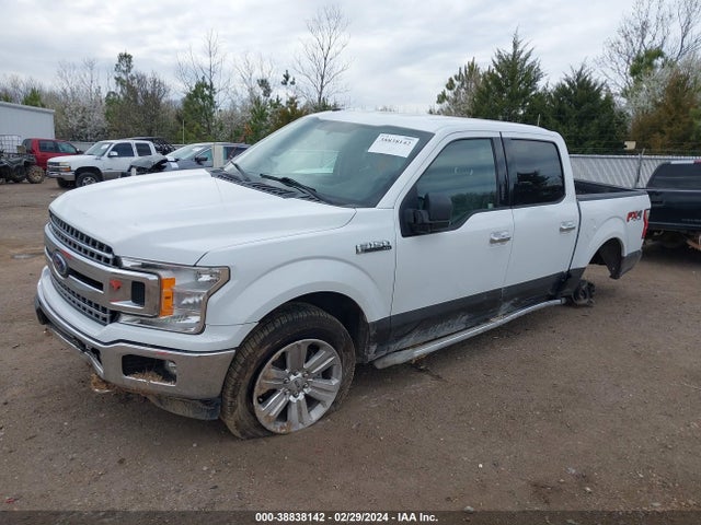 Ford F-150 Xlt 2018 1FTEW1EG2JFE20602 Image 2