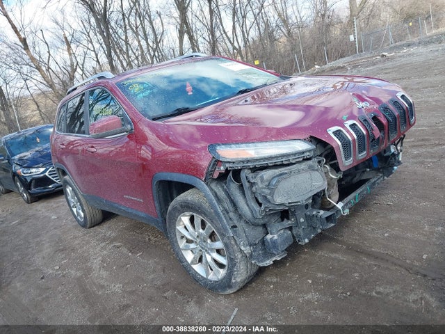 Jeep Cherokee Limited 2015 1C4PJMDS4FW521968 Image 1