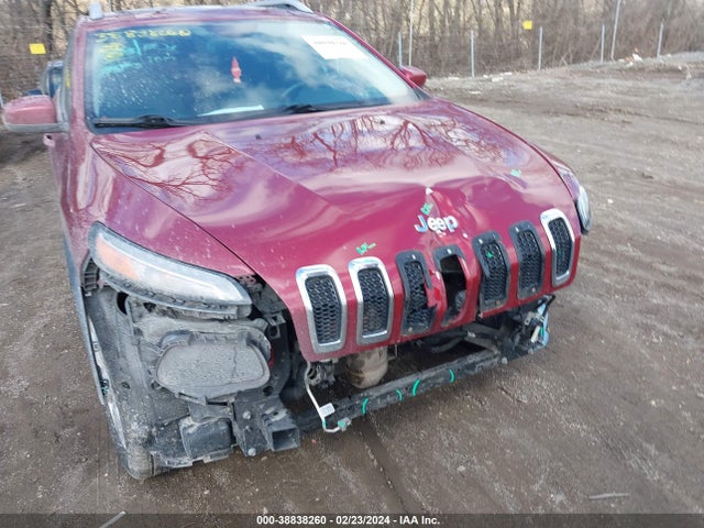 Jeep Cherokee Limited 2015 1C4PJMDS4FW521968 Image 6
