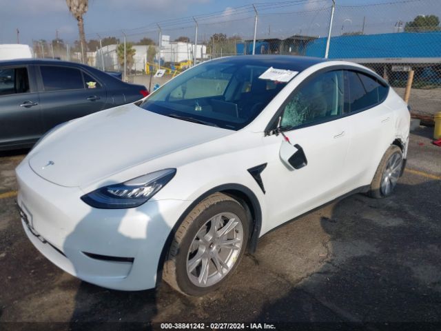 2021 TESLA MODEL Y 5YJYGAEE6MF294343 Photo 1