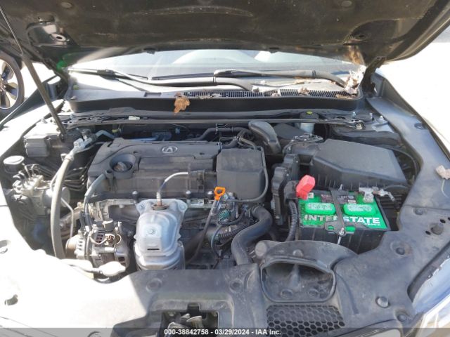 19UUB1F56GA010008 Acura TLX TECH
