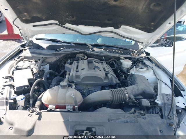 Ford Mustang Ecoboost Fastback 2020 1FA6P8TH6L5103877 Image 10