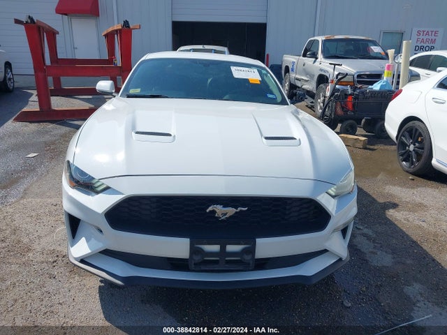 Ford Mustang Ecoboost Fastback 2020 1FA6P8TH6L5103877 Image 12