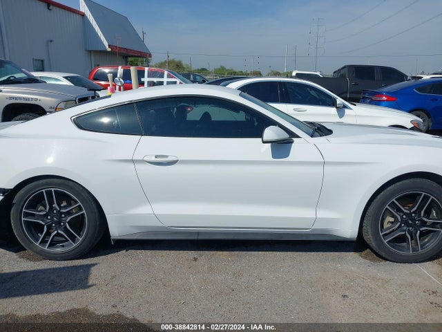 Ford Mustang Ecoboost Fastback 2020 1FA6P8TH6L5103877 Image 13