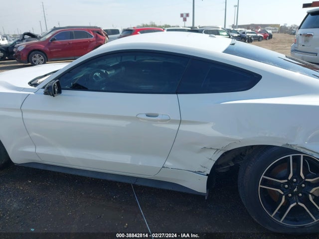 Ford Mustang Ecoboost Fastback 2020 1FA6P8TH6L5103877 Image 14